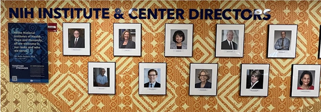 NIH Institute & Center Directors; 10 portraits of NIH directors hanging on a patterned wall