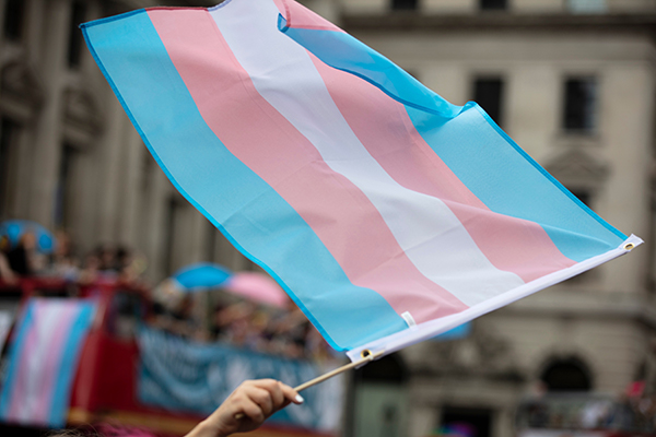 A transgender pride flag being waved at LGBT gay pride march.