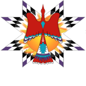 Native American Art Council