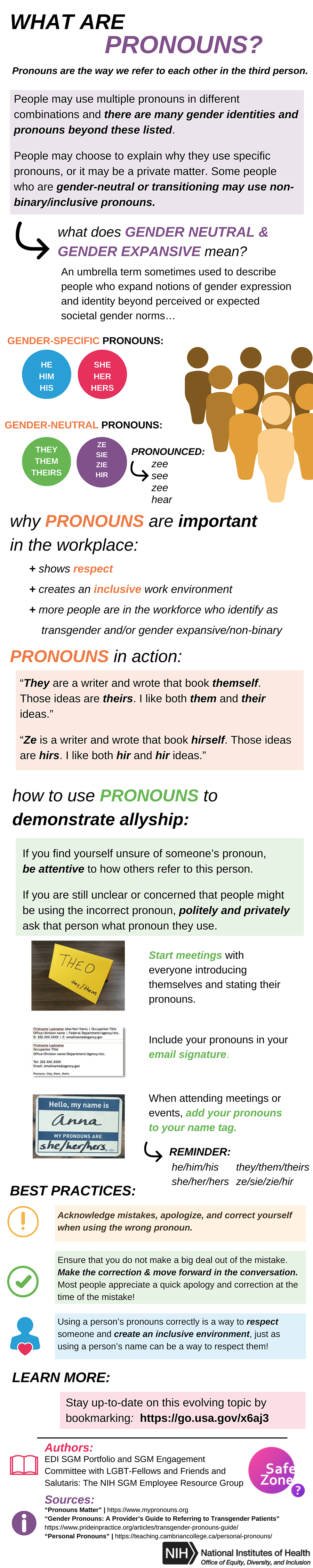An infographic titled, 'What Are Pronouns?'.