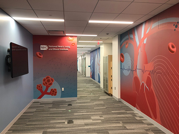 Photo of the National Heart Lung and Blood Institute mural and hallway.